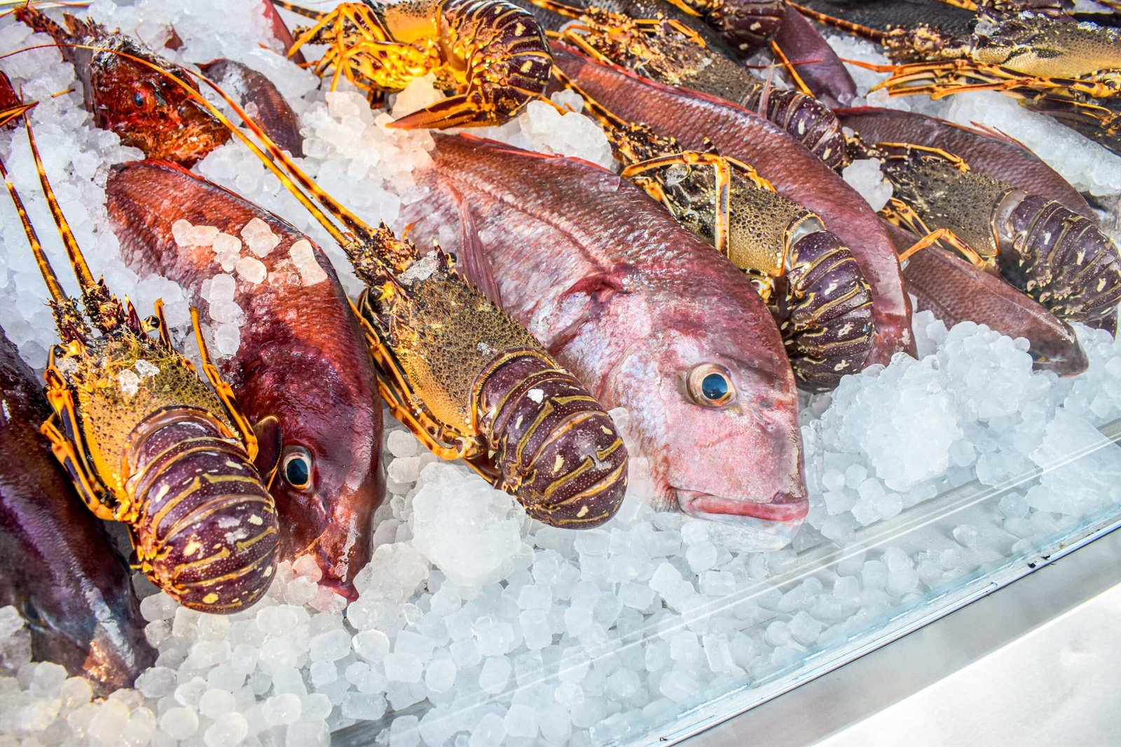 Enjoy dining in Kahlua Skiathos with the most majestic backdrop of the sea. Featuring homemade Greek and Mediterranean dishes accompanied by carefully curated wine list, as well as tsipouro and ouzo.